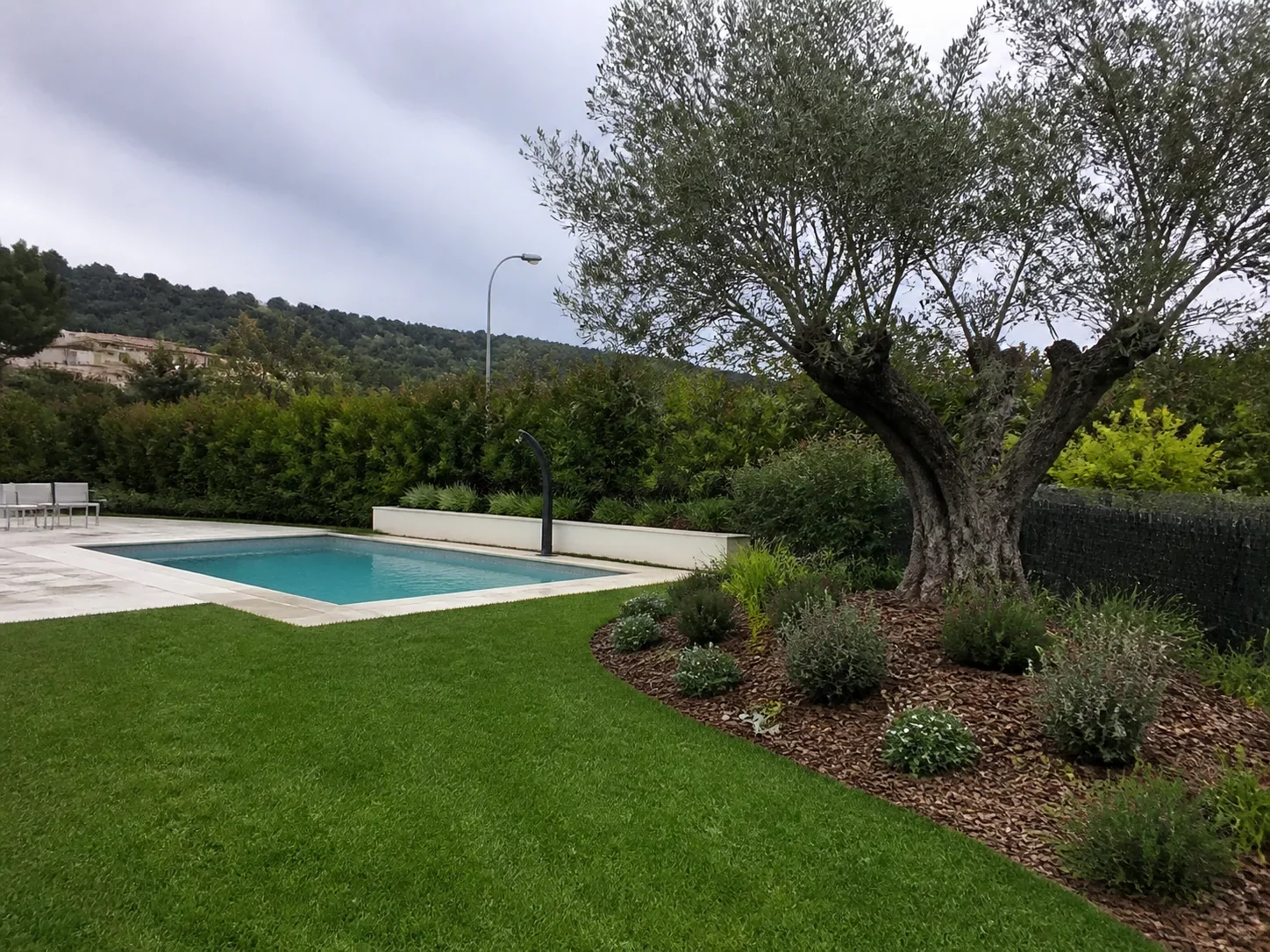 Jardín mediterráneo con olivo, piedra y césped en Mallorca