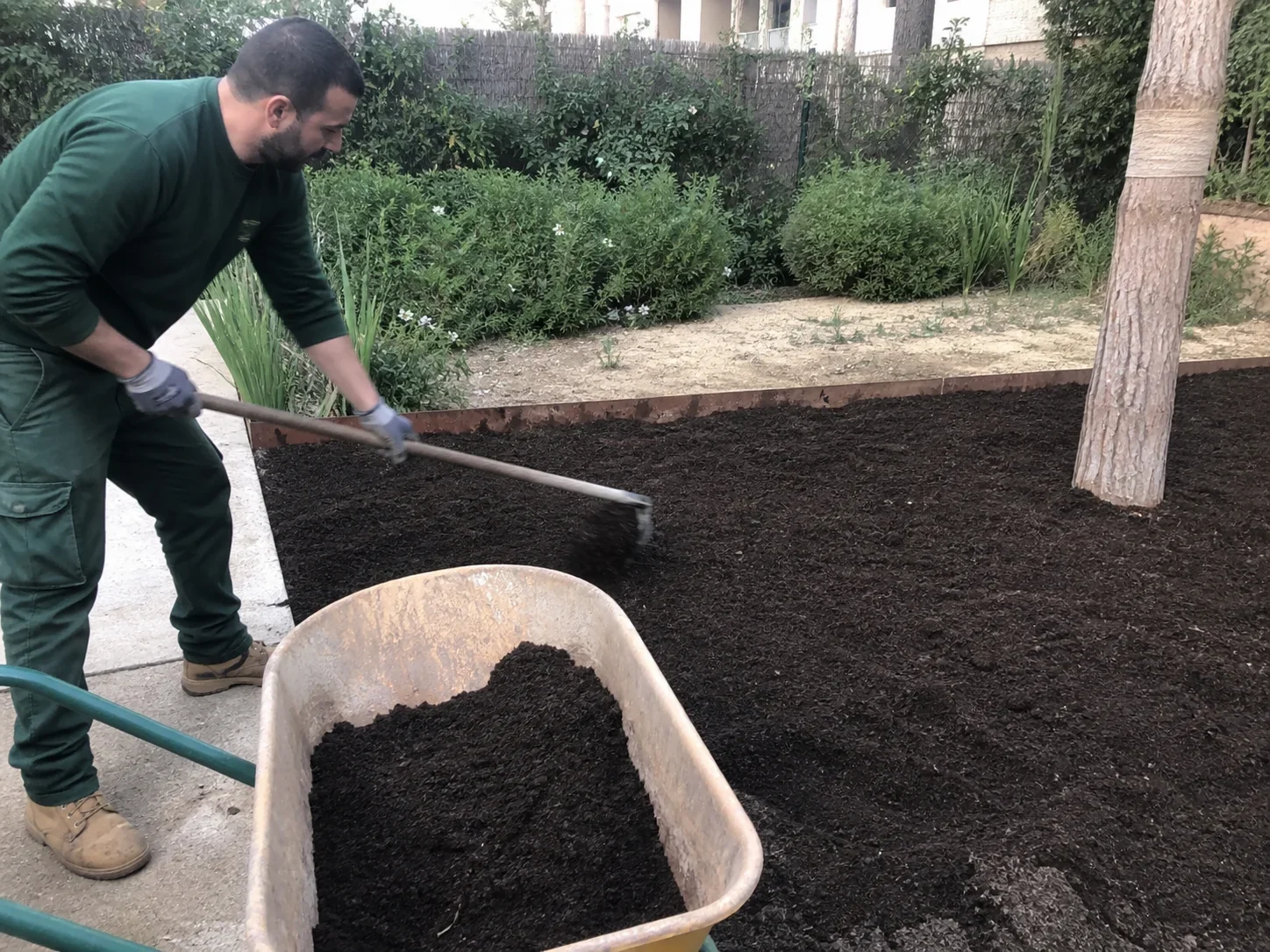 Profesional preparando mantenimiento de jardín premium en Mallorca