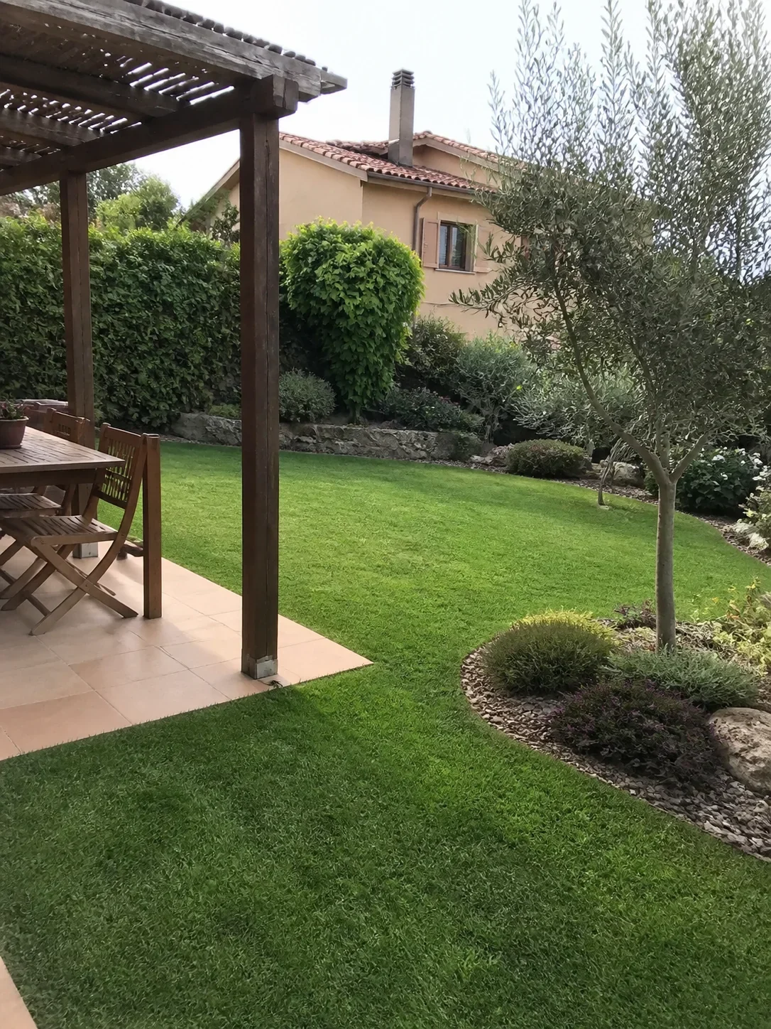 Terraza con jardín y olivo para vivienda en Mallorca